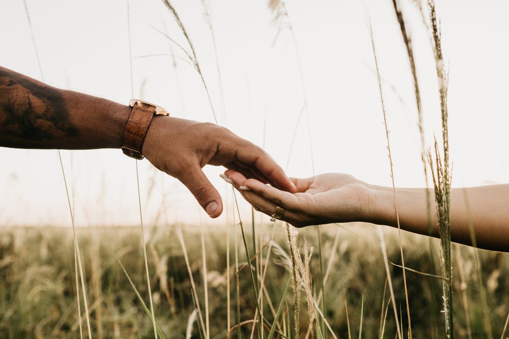 Two hands gently reaching toward each other in a field, symbolising reconnection and healing in a relationship