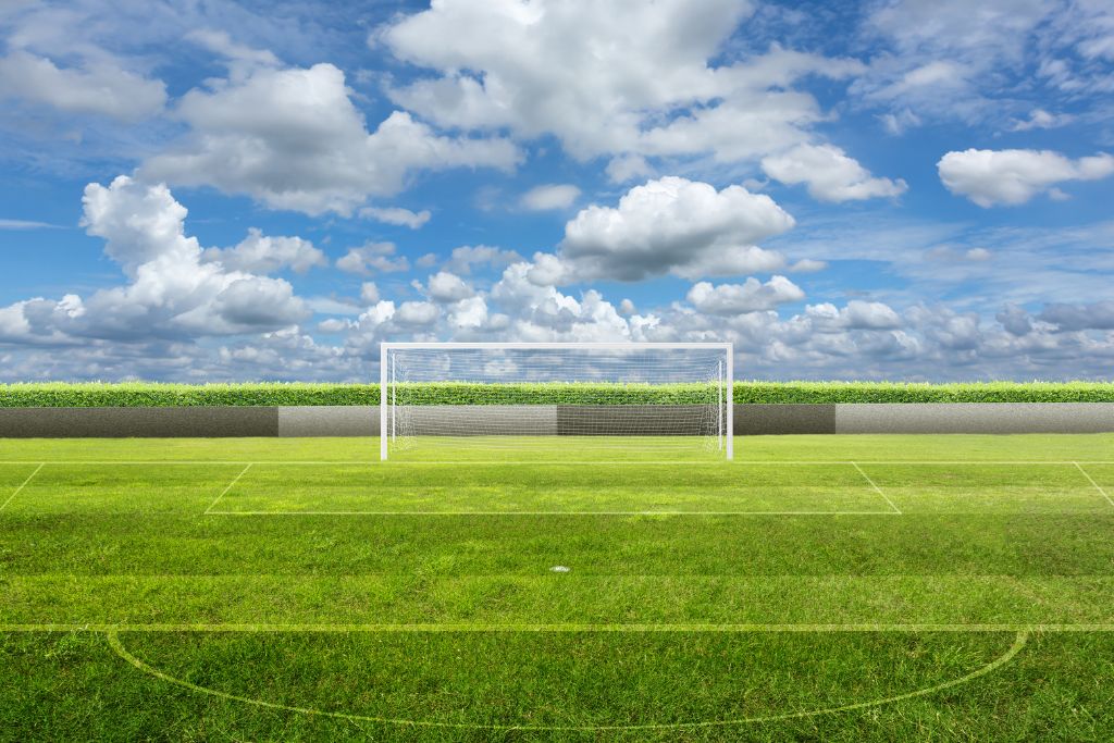 Goal post on open field representing growth, opportunity and performance potential