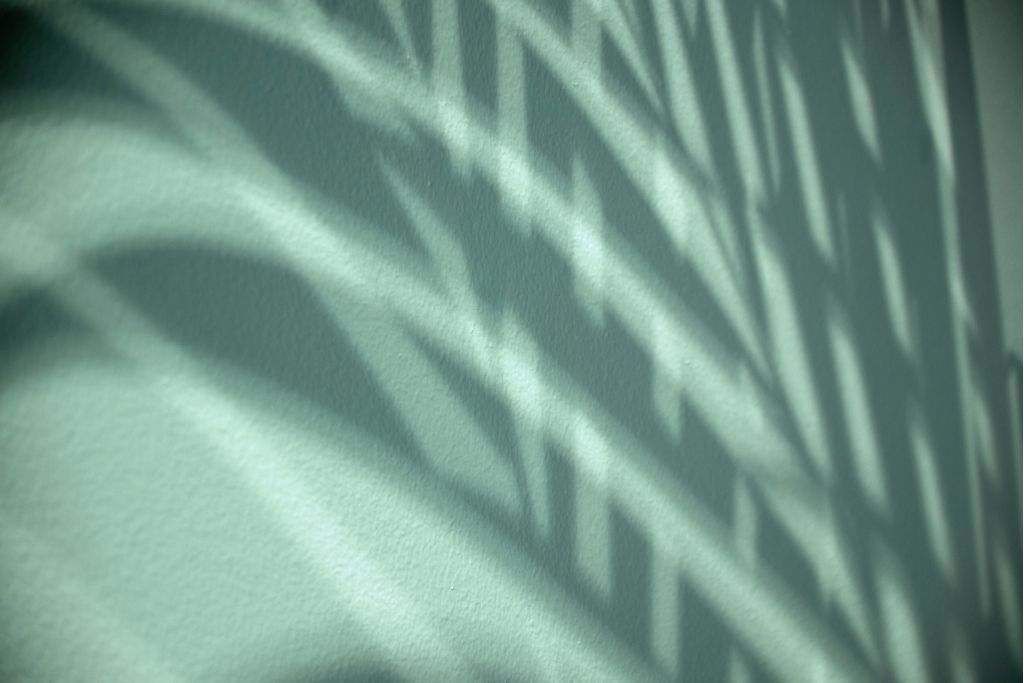 Soft light casting shadows on a wall, symbolising repetition and mental patterns